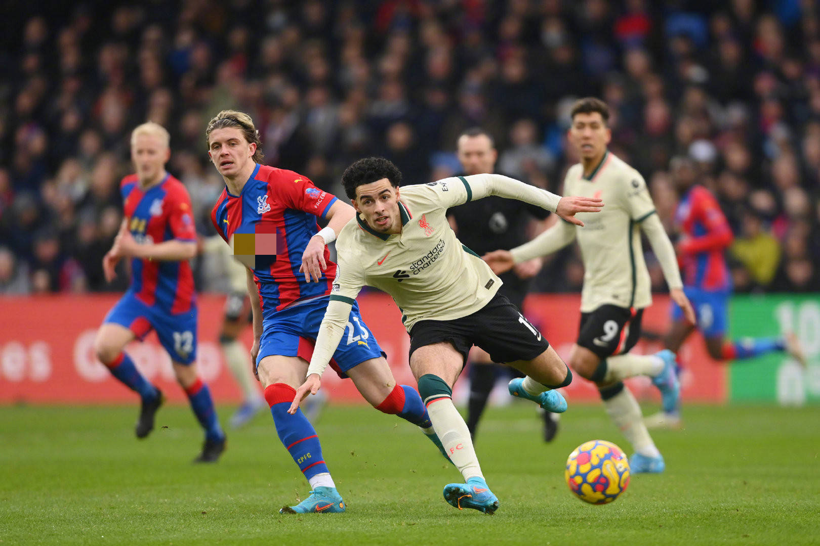 能非常适合 能非常适合